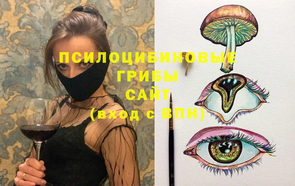 стаф Бугульма