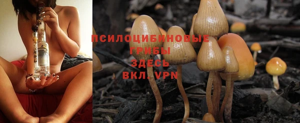 стаф Бугульма